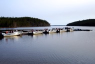 fishing trips