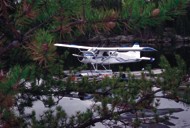 trout fishing trips