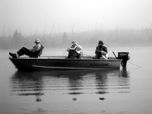 Foggy Morning