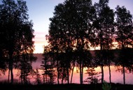 fly in fishing canada